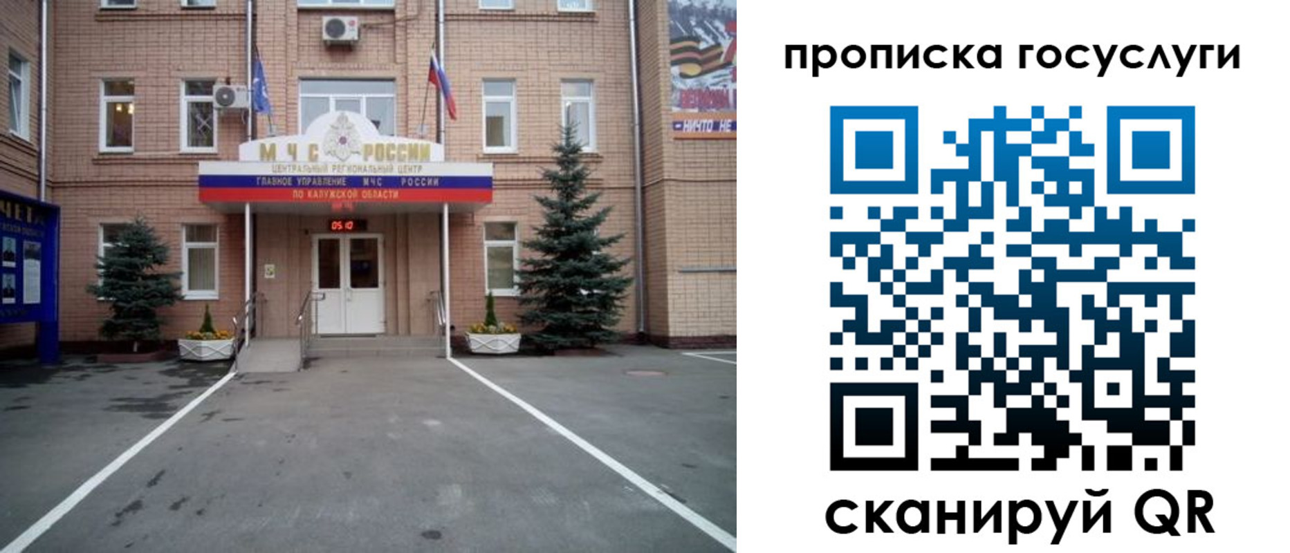 временная регистрация купить в Щиграх