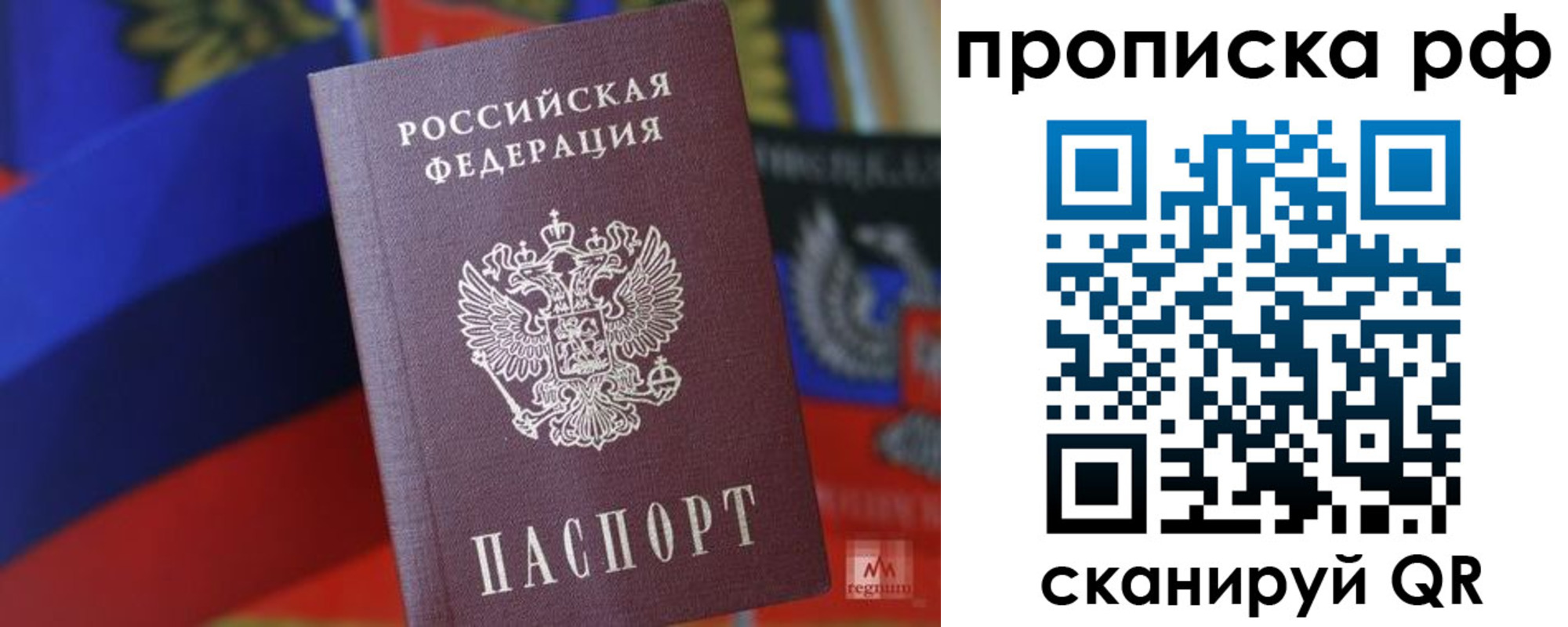 временная регистрация надежно в Щиграх