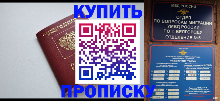 прописка регистрация в Щиграх